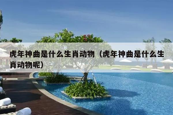虎年神曲是什么生肖动物（虎年神曲是什么生肖动物呢）
