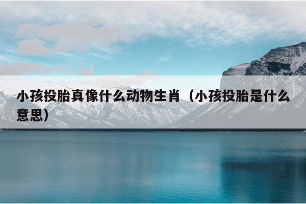 小孩投胎真像什么动物生肖（小孩投胎是什么意思）