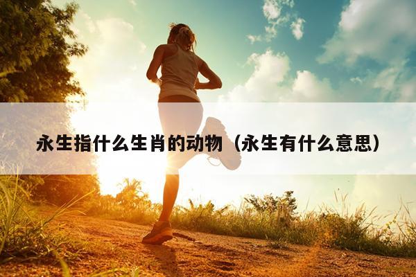 永生指什么生肖的动物（永生有什么意思）