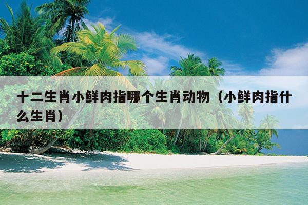 十二生肖小鲜肉指哪个生肖动物（小鲜肉指什么生肖）