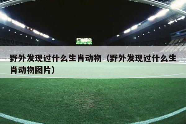 野外发现过什么生肖动物（野外发现过什么生肖动物图片）