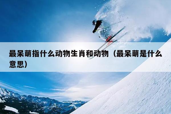 最呆萌指什么动物生肖和动物（最呆萌是什么意思）