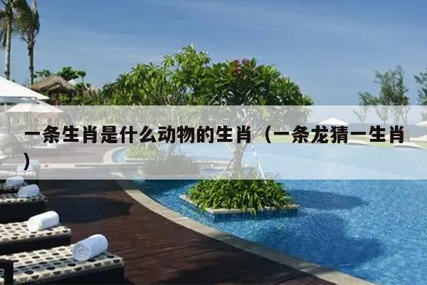 一条生肖是什么动物的生肖（一条龙猜一生肖）