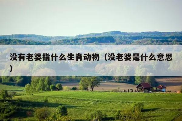 没有老婆指什么生肖动物（没老婆是什么意思）