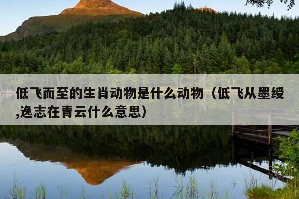 低飞而至的生肖动物是什么动物（低飞从墨绶,逸志在青云什么意思）