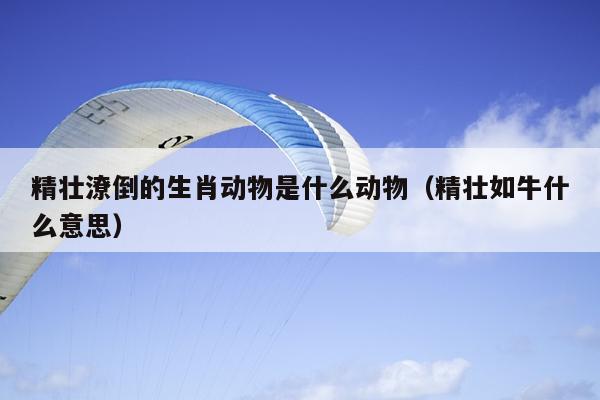 精壮潦倒的生肖动物是什么动物（精壮如牛什么意思）