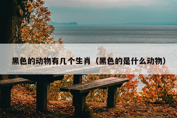 黑色的动物有几个生肖（黑色的是什么动物）