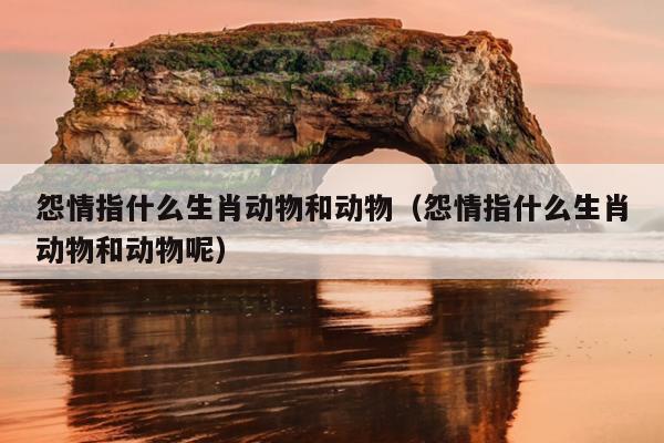 怨情指什么生肖动物和动物（怨情指什么生肖动物和动物呢）
