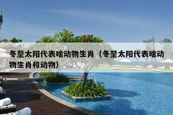冬至太阳代表啥动物生肖（冬至太阳代表啥动物生肖和动物）