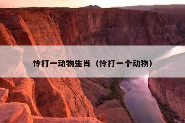 怜打一动物生肖（怜打一个动物）