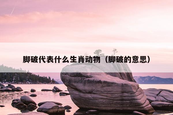 脚破代表什么生肖动物（脚破的意思）