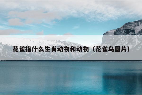 花雀指什么生肖动物和动物（花雀鸟图片）