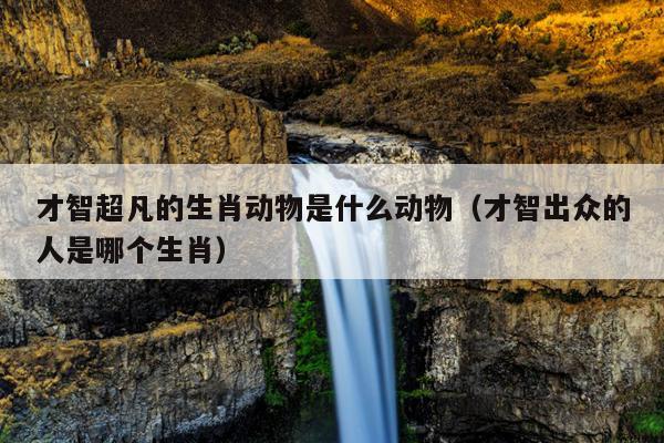 才智超凡的生肖动物是什么动物（才智出众的人是哪个生肖）