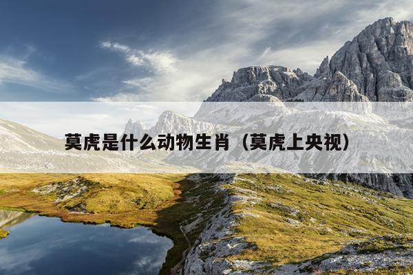 莫虎是什么动物生肖（莫虎上央视）
