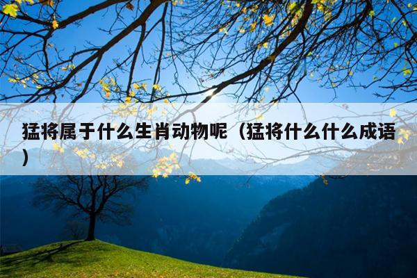 猛将属于什么生肖动物呢（猛将什么什么成语）