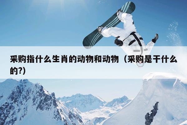 采购指什么生肖的动物和动物（采购是干什么的?）