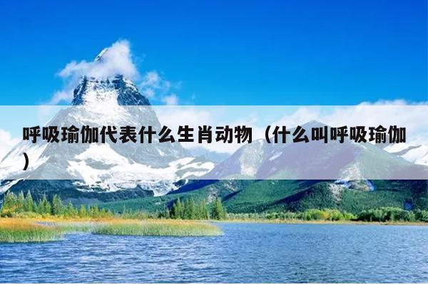 呼吸瑜伽代表什么生肖动物（什么叫呼吸瑜伽）