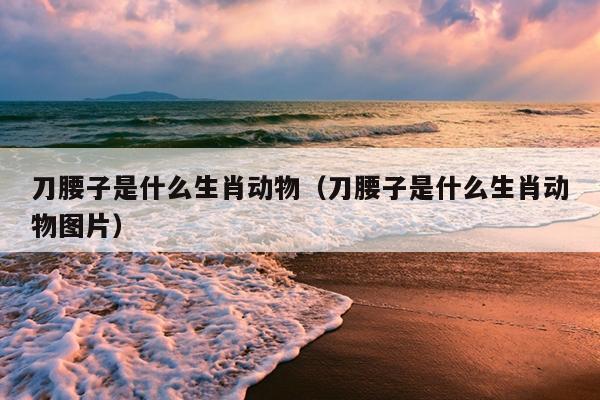 刀腰子是什么生肖动物（刀腰子是什么生肖动物图片）