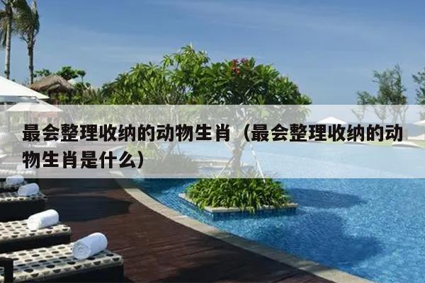 最会整理收纳的动物生肖（最会整理收纳的动物生肖是什么）