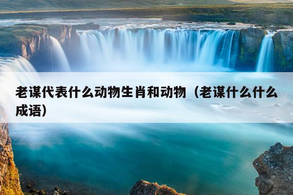 老谋代表什么动物生肖和动物（老谋什么什么成语）