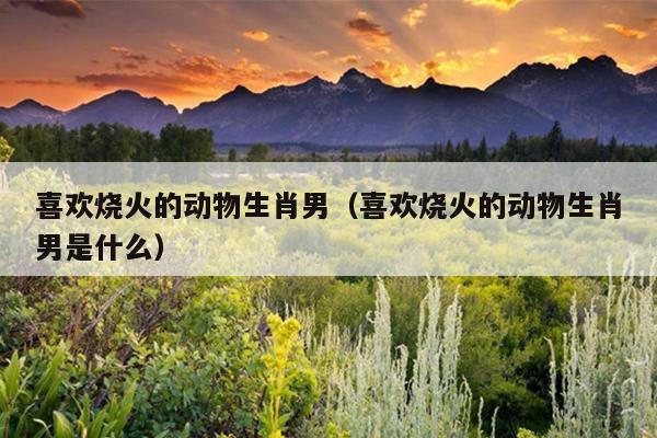 喜欢烧火的动物生肖男（喜欢烧火的动物生肖男是什么）