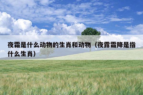 夜霜是什么动物的生肖和动物（夜露霜降是指什么生肖）