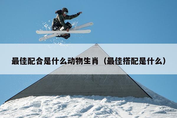 最佳配合是什么动物生肖（最佳搭配是什么）