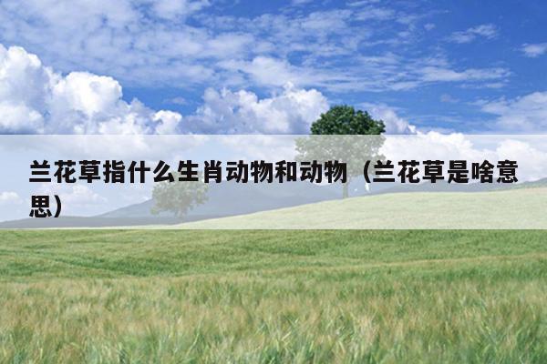 兰花草指什么生肖动物和动物（兰花草是啥意思）