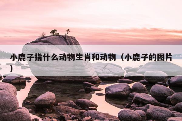 小鹿子指什么动物生肖和动物（小鹿子的图片）