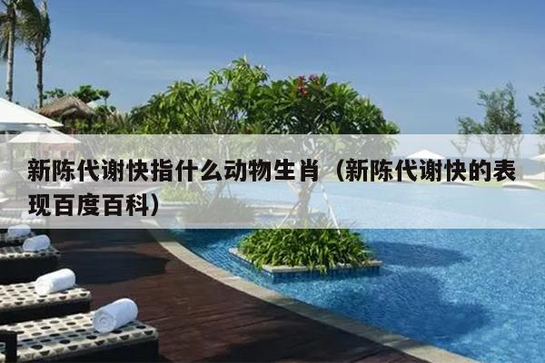 新陈代谢快指什么动物生肖（新陈代谢快的表现百度百科）