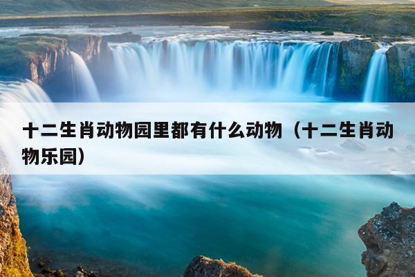 十二生肖动物园里都有什么动物（十二生肖动物乐园）