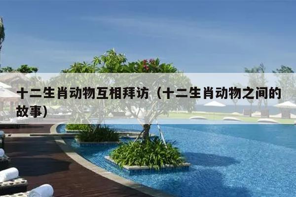 十二生肖动物互相拜访（十二生肖动物之间的故事）