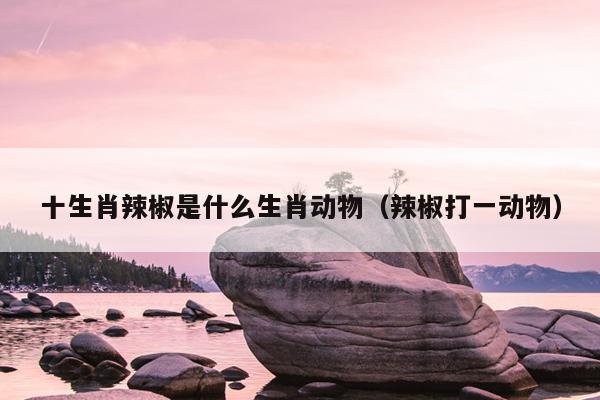 十生肖辣椒是什么生肖动物（辣椒打一动物）