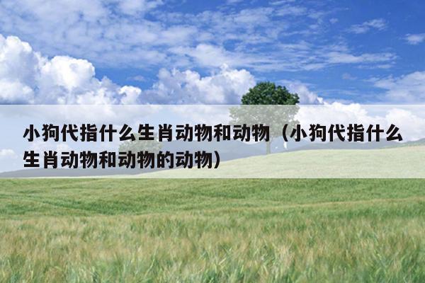 小狗代指什么生肖动物和动物（小狗代指什么生肖动物和动物的动物）