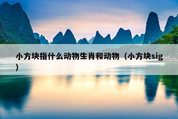 小方块指什么动物生肖和动物（小方块sig）