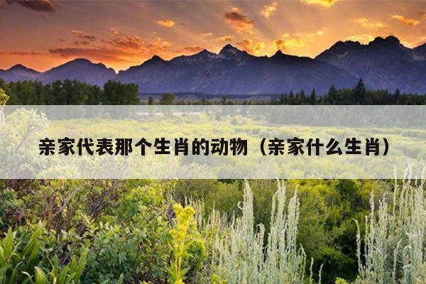 亲家代表那个生肖的动物（亲家什么生肖）