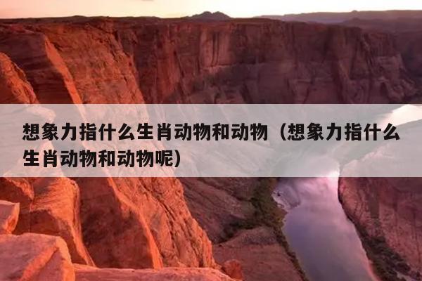 想象力指什么生肖动物和动物（想象力指什么生肖动物和动物呢）