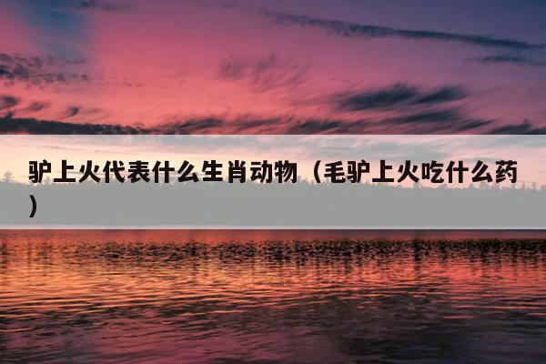 驴上火代表什么生肖动物（毛驴上火吃什么药）