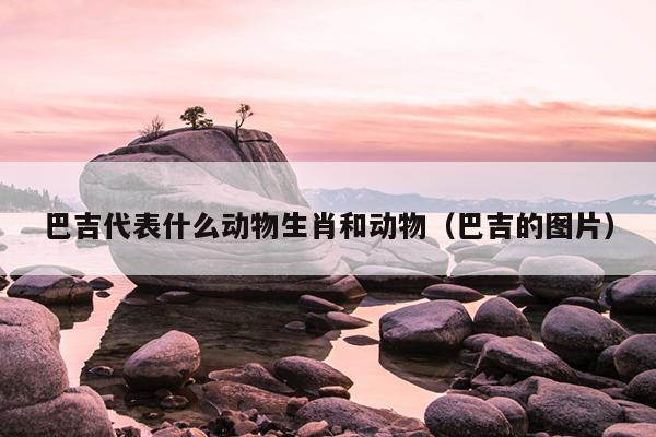 巴吉代表什么动物生肖和动物（巴吉的图片）