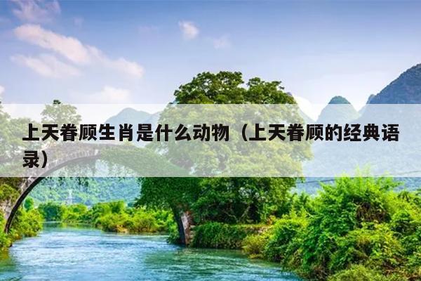 上天眷顾生肖是什么动物（上天眷顾的经典语录）