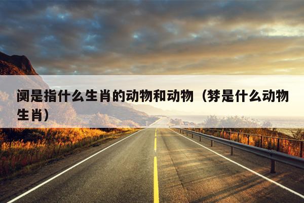 阒是指什么生肖的动物和动物（棼是什么动物生肖）