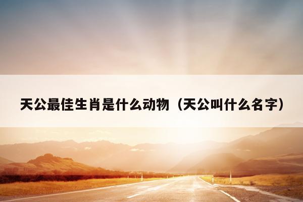 天公最佳生肖是什么动物（天公叫什么名字）