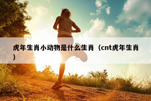 虎年生肖小动物是什么生肖（cnt虎年生肖）