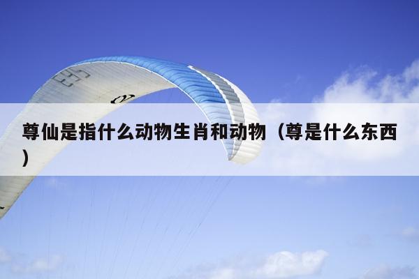 尊仙是指什么动物生肖和动物（尊是什么东西）