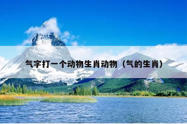 气字打一个动物生肖动物（气的生肖）