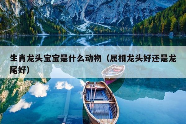 生肖龙头宝宝是什么动物（属相龙头好还是龙尾好）