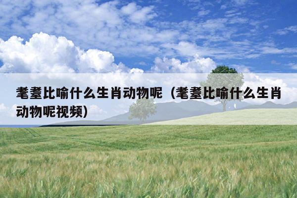 耄耋比喻什么生肖动物呢（耄耋比喻什么生肖动物呢视频）