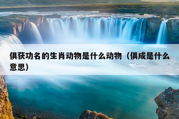 俱获功名的生肖动物是什么动物（俱成是什么意思）