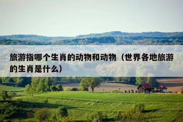 旅游指哪个生肖的动物和动物（世界各地旅游的生肖是什么）