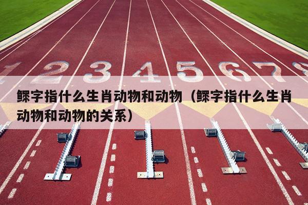 鳏字指什么生肖动物和动物（鳏字指什么生肖动物和动物的关系）